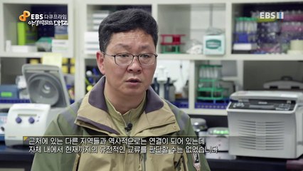EBS 다큐프라임 - Docuprime_야생리포트 DMZ 2부- 산양의 꿈_#002