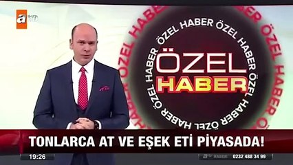 Adanada At ve Eşek Eti Skandalı -