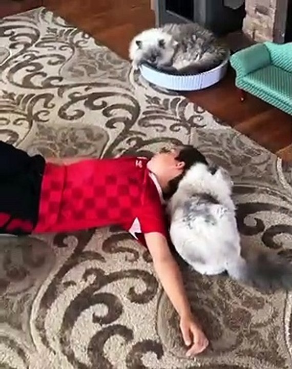 Il y a beaucoup d’amour entre ce chat et son humain ! Gros câlins et petits bisous !