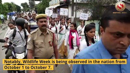 Forest Division at Biswanath District observes 65th 'Vanya Prani Saptah'