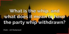 UK Politics What is 'the whip' and what does it mean to have the party whip withdrawn?