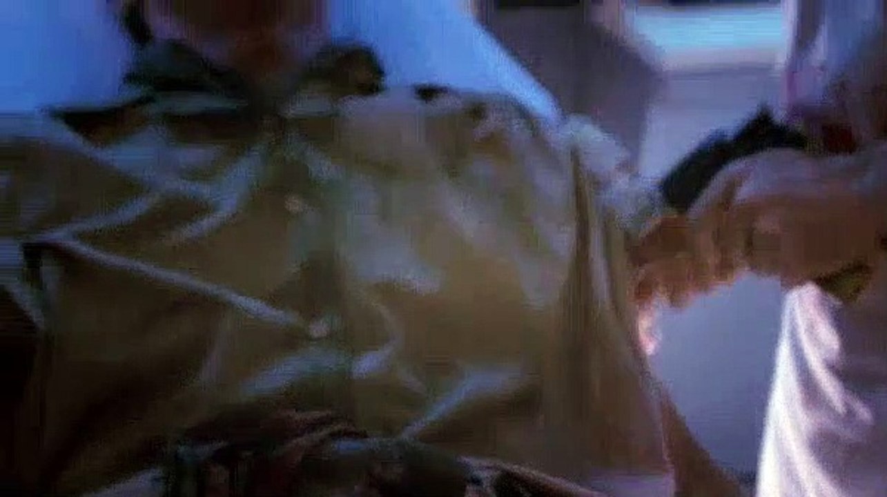 Firefly S01E02 Firefly Bushwhacked