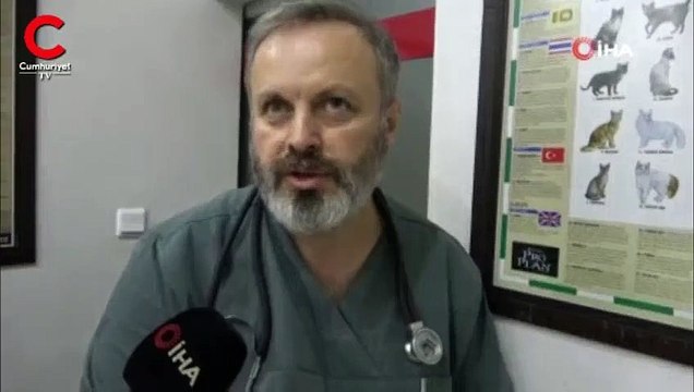 Kedinin soluk borusundan çıkan cisim şoke etti