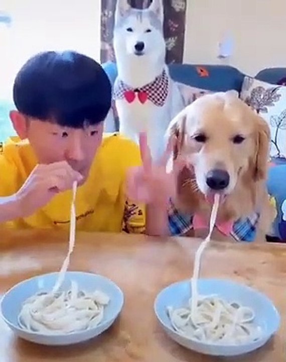 A mourir de rire c'est sans doute la vidéo la plus drôle que vous n'avez jamais vu