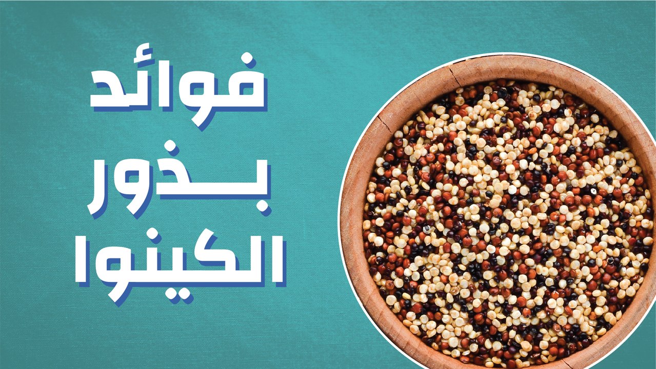 فوائد بذور الكينوا