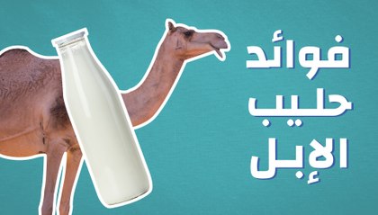 فوائد حليب الإبل