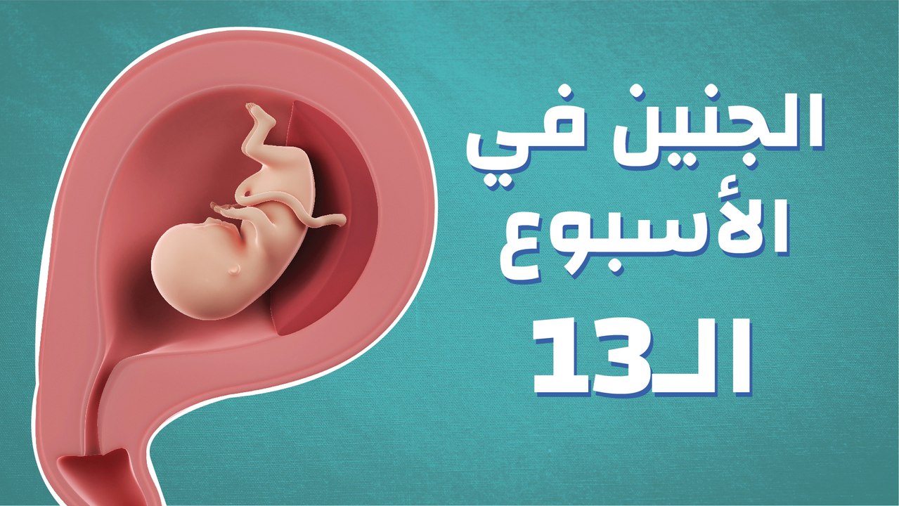 جنين في الأسبوع الثالث عشر