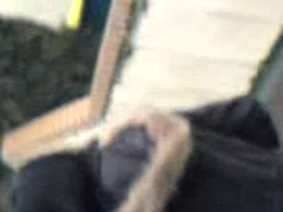 MOV00277