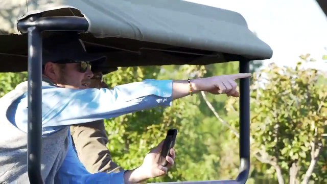 Graban como una cría de elefante resiste el ataque de una leona