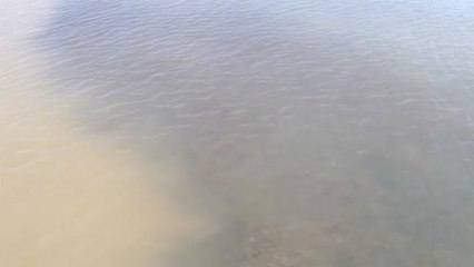 Tres semanas después de la gota fría, varias playas del Mar Menor siguen cerradas al baño