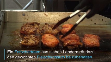 Rotes Fleisch doch nicht so ungesund?