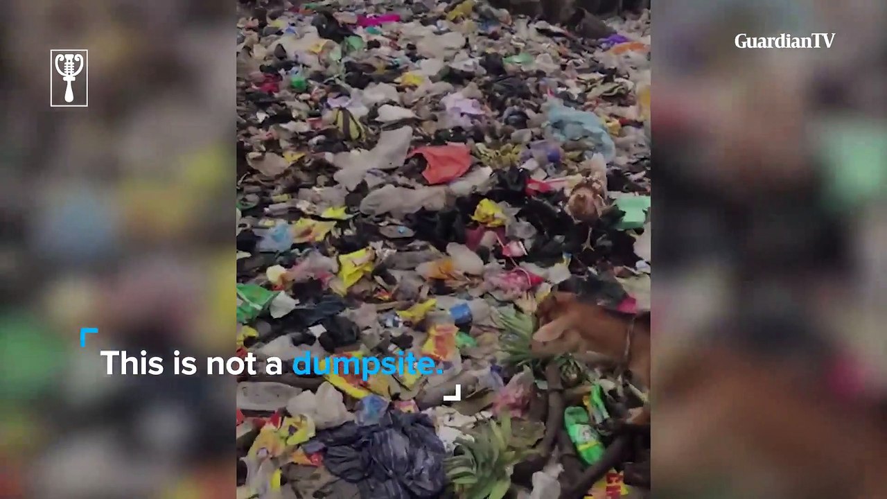 Inhuman habitation