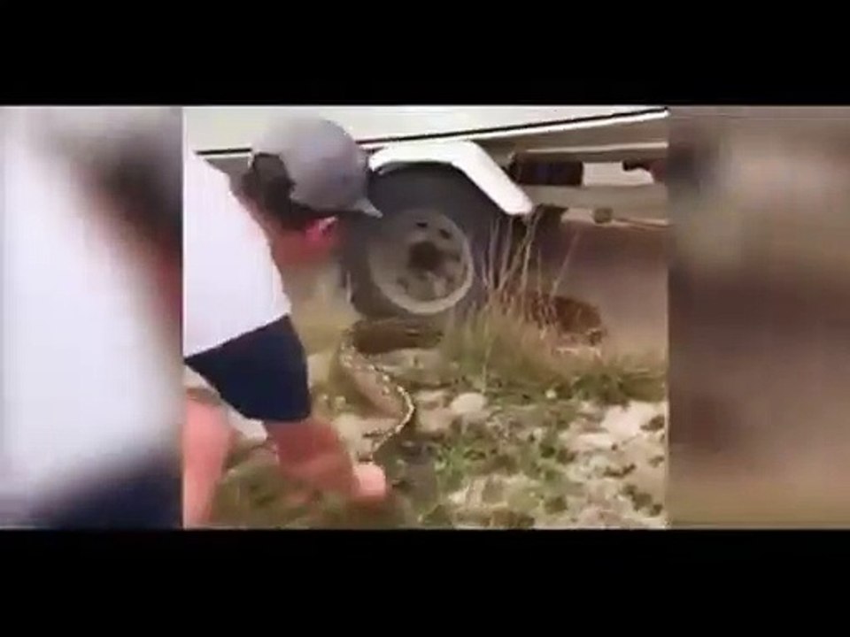 17 foot long python attacks Tourists