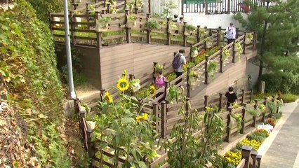 거리 곳곳이 정원...도시재생형 축제 개막 / YTN