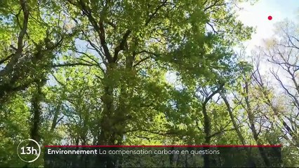 Pollution : la compensation carbone des entreprises passée au crible