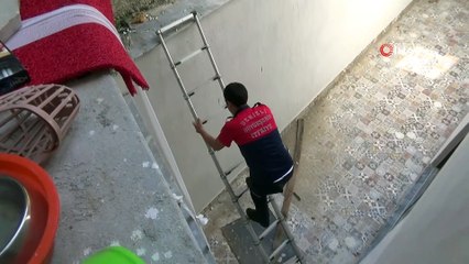 İtfaiye ekipleri kediyi kurtarmak için seferber oldu