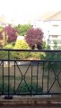 Appartement Bussy Saint Georges