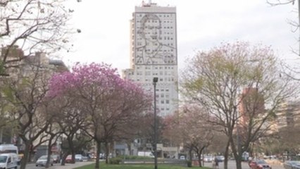 La pobreza urbana en Argentina subió al 35,4 % en el primer semestre de 2019