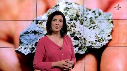 TV CULTURA -  MATÉRIA DE CAPA  - DINOSSAUROS, O DIA D