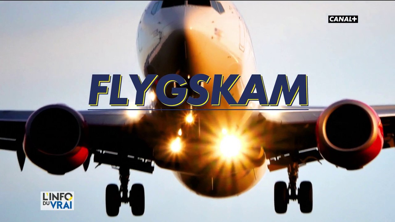 Le Flygskam : La honte de prendre l'avion