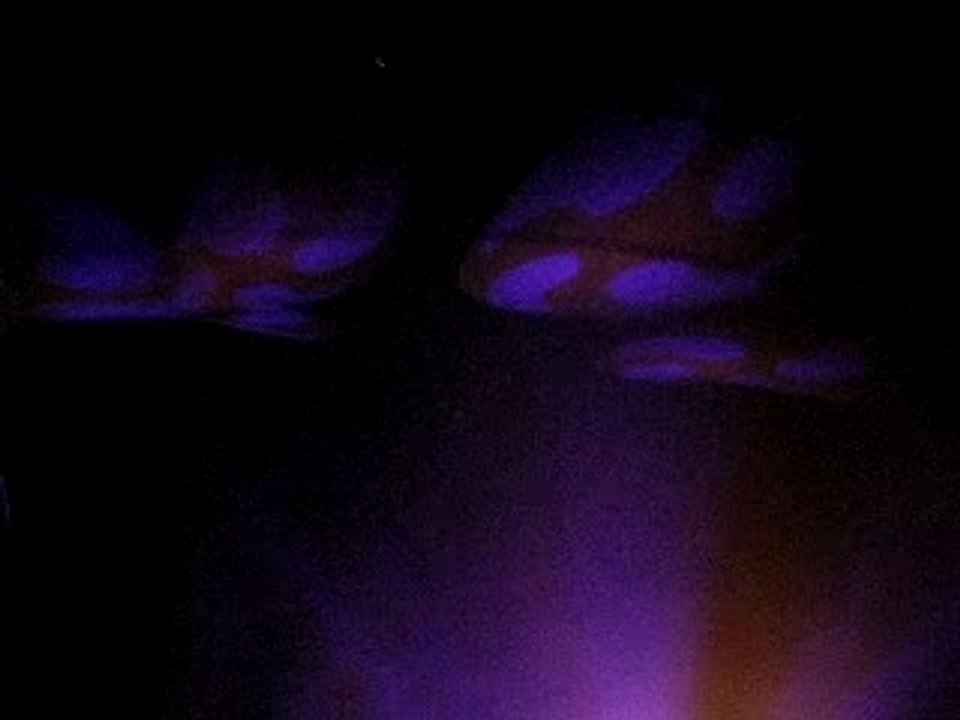 Dj Shadow - Organ Donor Live @ Dour Festival 07