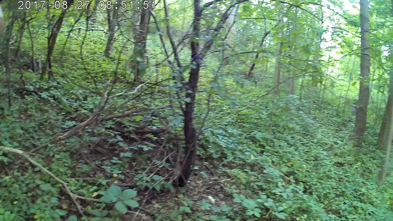 16 Fatima Pilgrimage walk across USA   #65 Rainy days in Tent