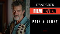 Pain And Glory review