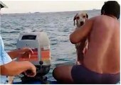 فيديو: إنقاذ كلبًا من موت محقق في عرض البحر