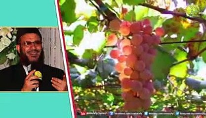 التلقيب بالأعمال الصالحة وسر لقب الشيخ الحصري . الشيخ محمد اسماعيل المقدم