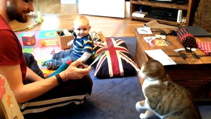 مواقف وطرائف قطط مع اطفال