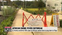 S. Korea confirms 10th case of African swine fever at pig farm in Paju