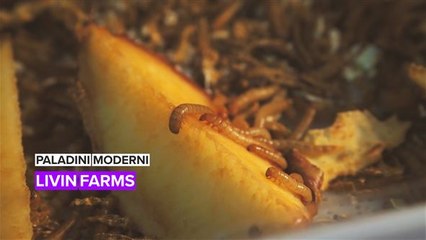 Paladini moderni: livin farms