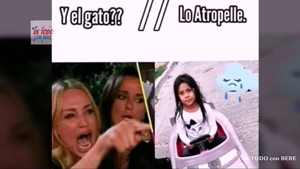 NIÑA ATR0P3LLA A UN GATO EN LA CALLE. _ VIDEO VIRAL _