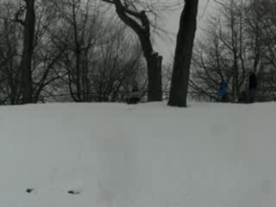 CIMG0074