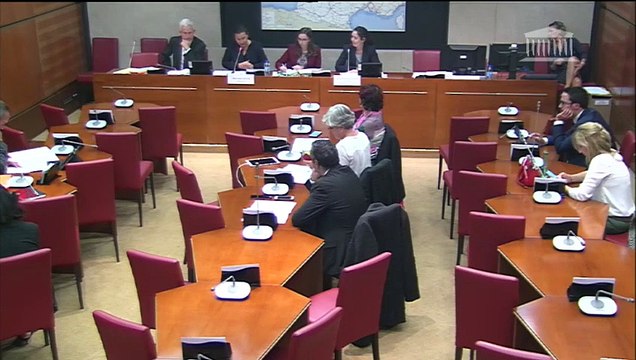 Délégation aux droits des femmes : Proposition de loi relative aux violences au sein des couples et aux incidences de ces dernières sur les enfants et proposition de loi visant à agir contre les violences faites aux femmes - Mardi 1 octobre 2019