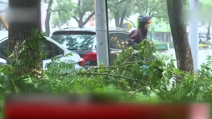 태풍 미탁, 中 해안 스치고 북상...77만 명 대피 / YTN