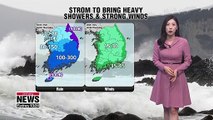 Typhoon Mitag brings heavy showers and strong winds to Korea