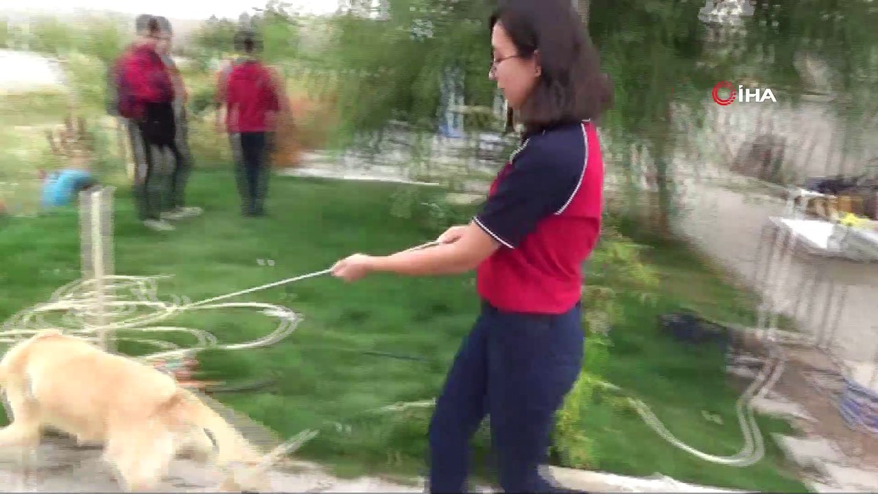Bu okulda sadece ders değil hayvan sevgisi de öğretiliyor