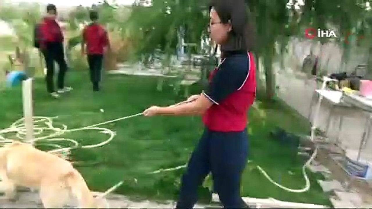 Lise bahçesinde "hayvanat bahçesi" kurdular