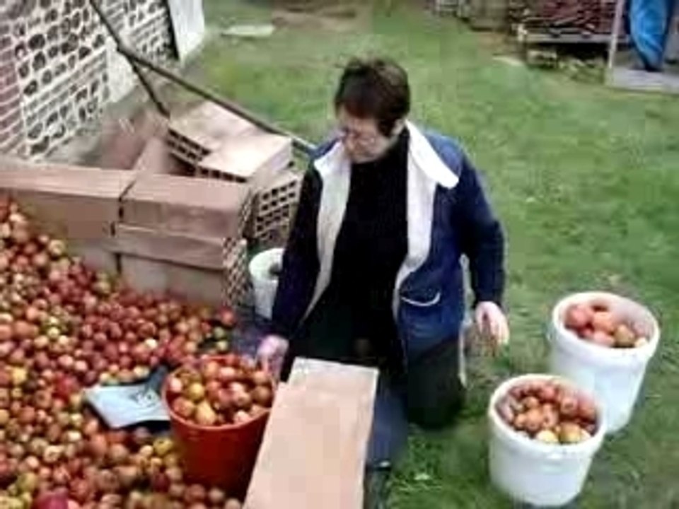 Hélène rempli les seaux
