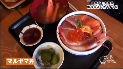 【ゴリパラ見聞録】   青森県・階段国道を激写する旅
