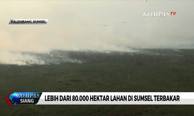 Kebakaran Hutan di Sumatera Selatan Kembali Meningkat