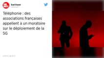 Redoutant « un monde hors de contrôle », des ONG réclament l'arrêt du déploiement de la 5G