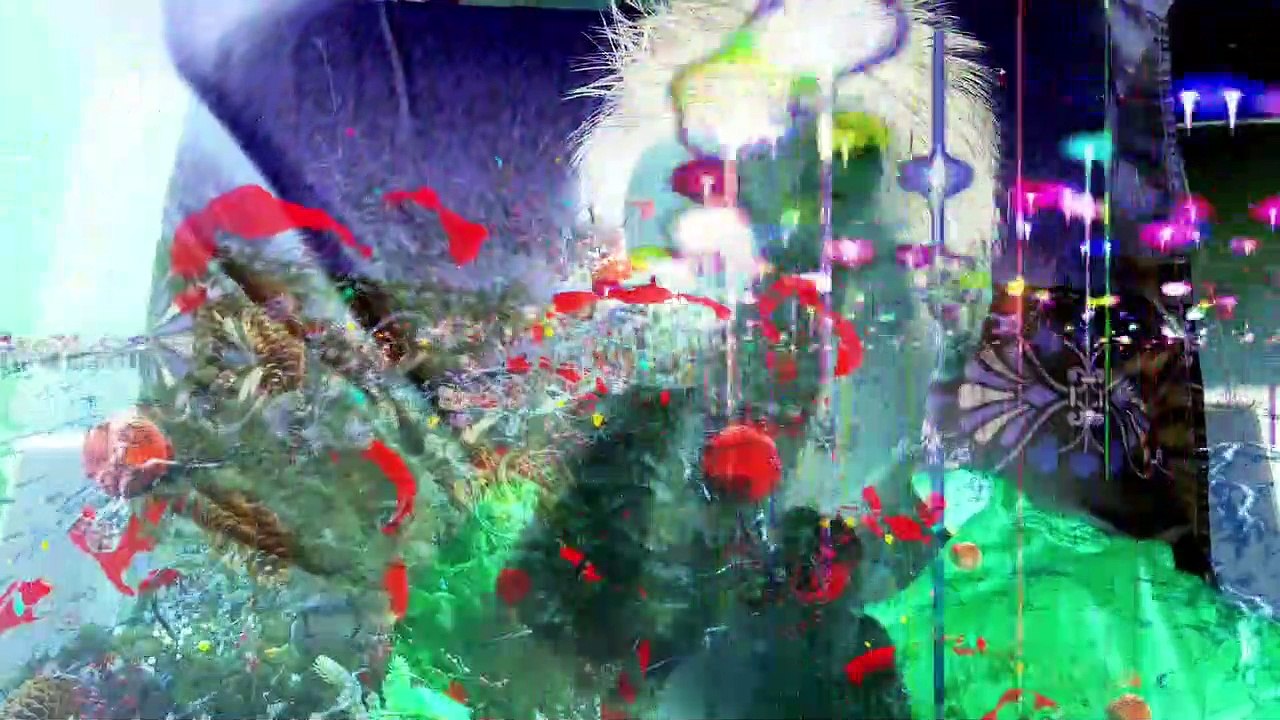 0800997200