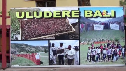 Kamu binası botanik bahçeye çevrildi