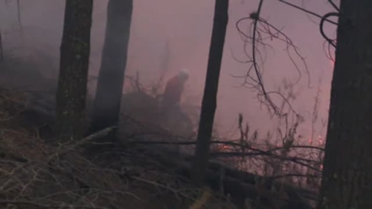 Un millón de hectáreas calcinadas por los incendios en Bolivia