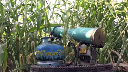 Kuş yemini korumak için 'torpil tabancası' yaptılar - KAHRAMANMARAŞ