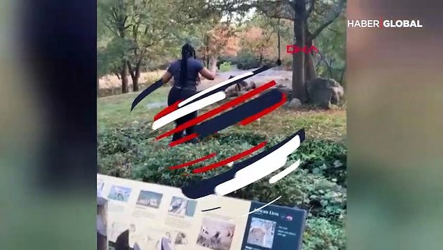 Aslanların arasına girip dans etti