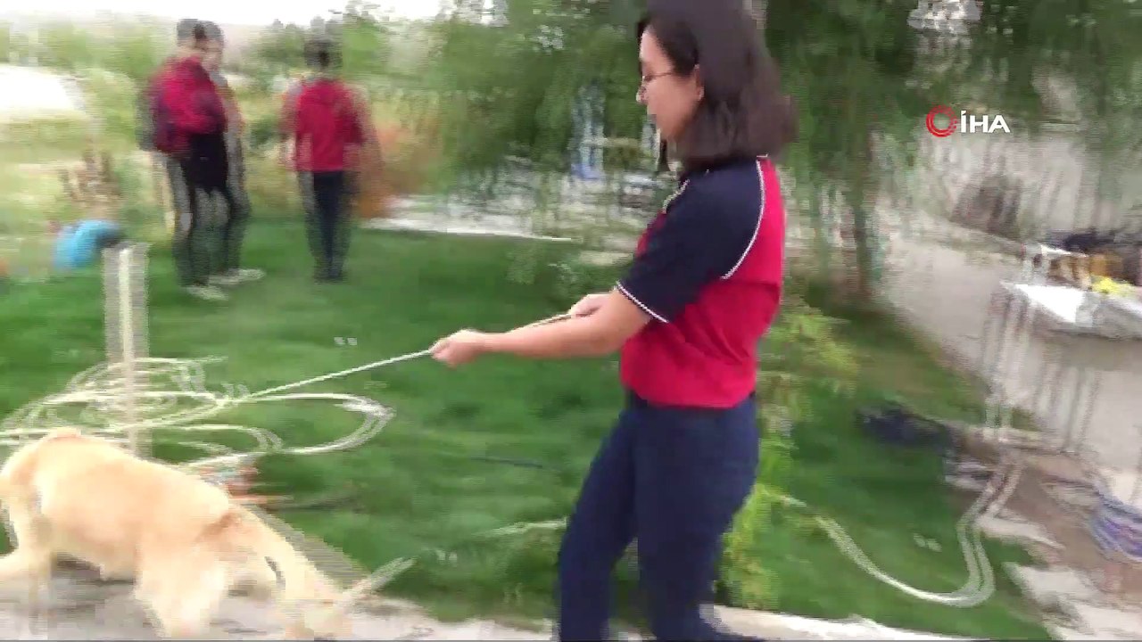 Bu Okulda Sadece Ders Değil Hayvan Sevgisi de Öğretiliyor