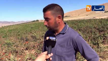 باتنة/ عراقيل عدة ترهن النشاط الفلاحي بقصر بلزمة